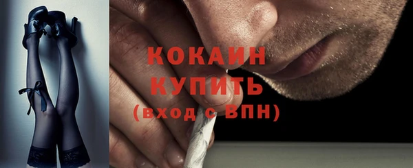 индика Балабаново