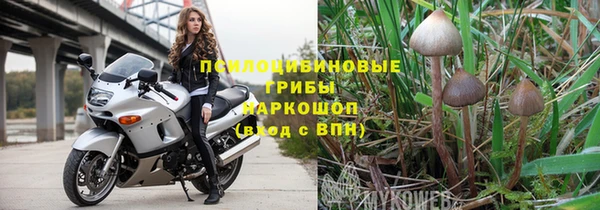 эйфоретик Балахна