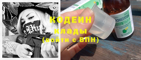 индика Балабаново
