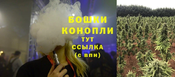 индика Балабаново