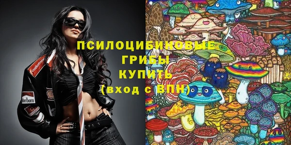 эйфоретик Балахна